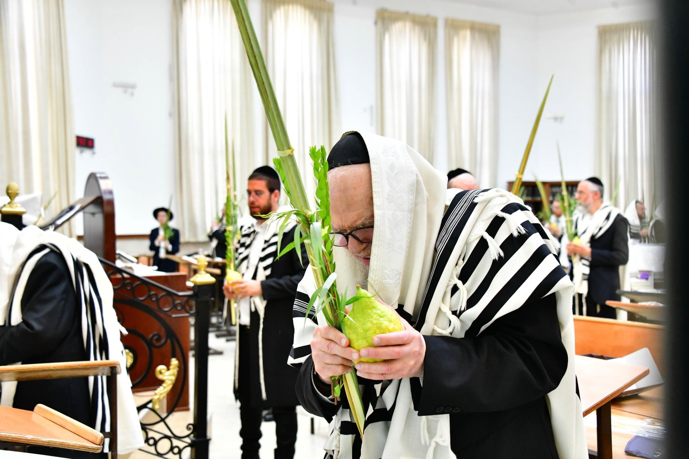 הגר"ד לנדו והגרמ"ה הירש בנטילת לולב