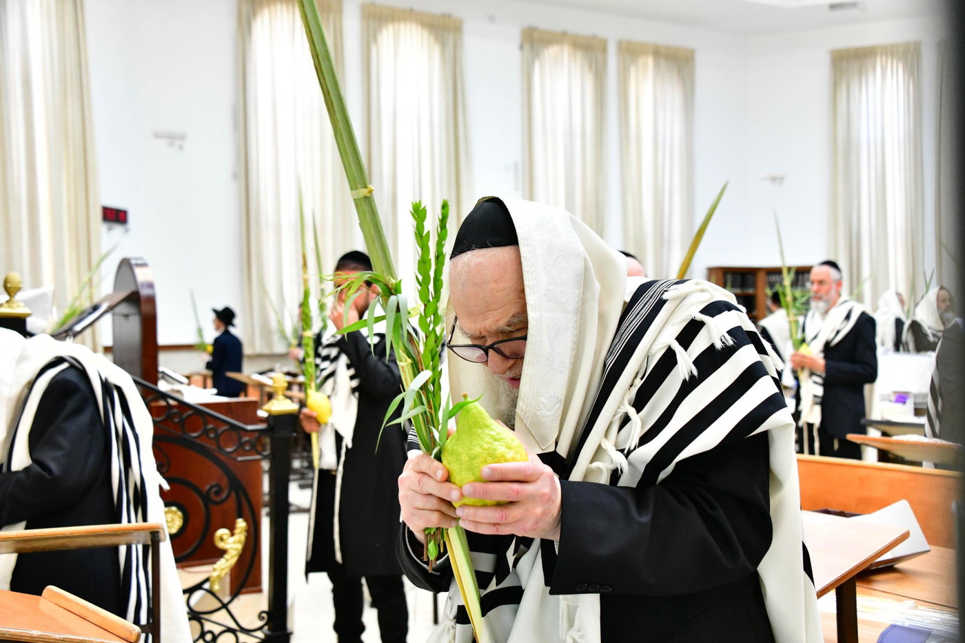 הגר"ד לנדו והגרמ"ה הירש בנטילת לולב
