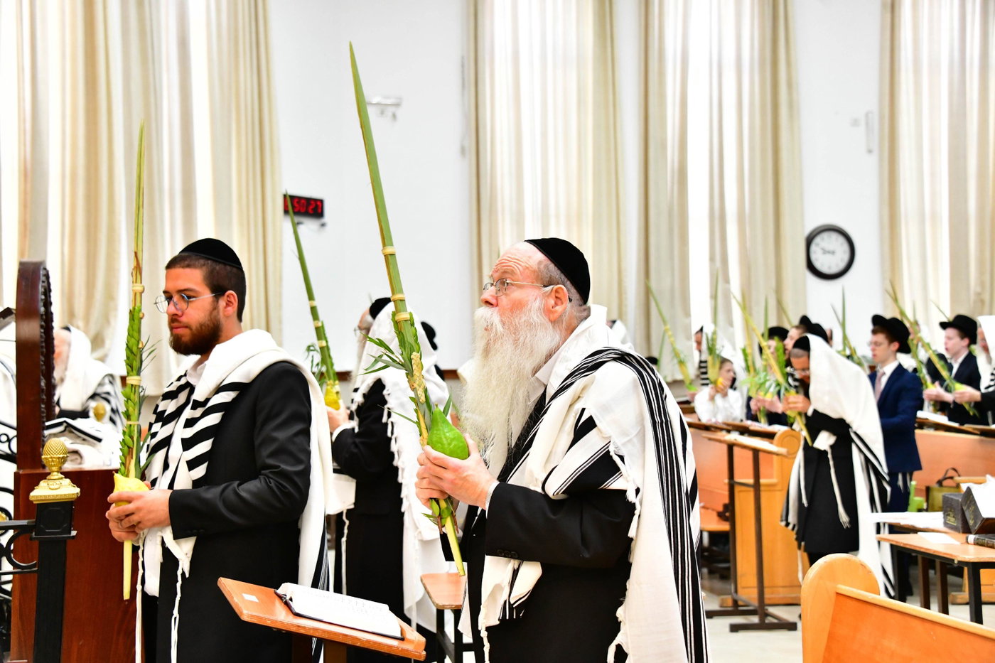 הגר"ד לנדו והגרמ"ה הירש בנטילת לולב