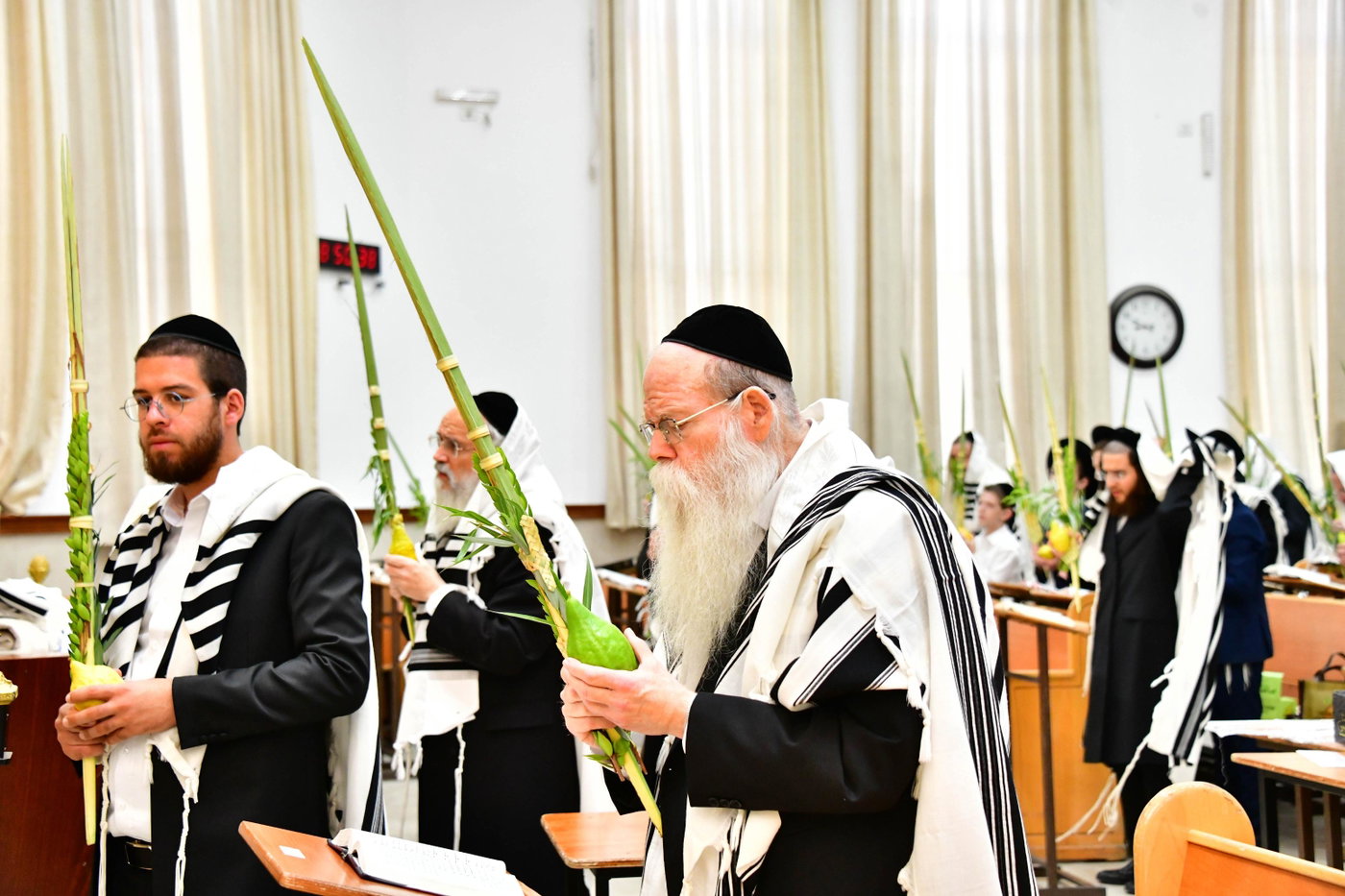 הגר"ד לנדו והגרמ"ה הירש בנטילת לולב