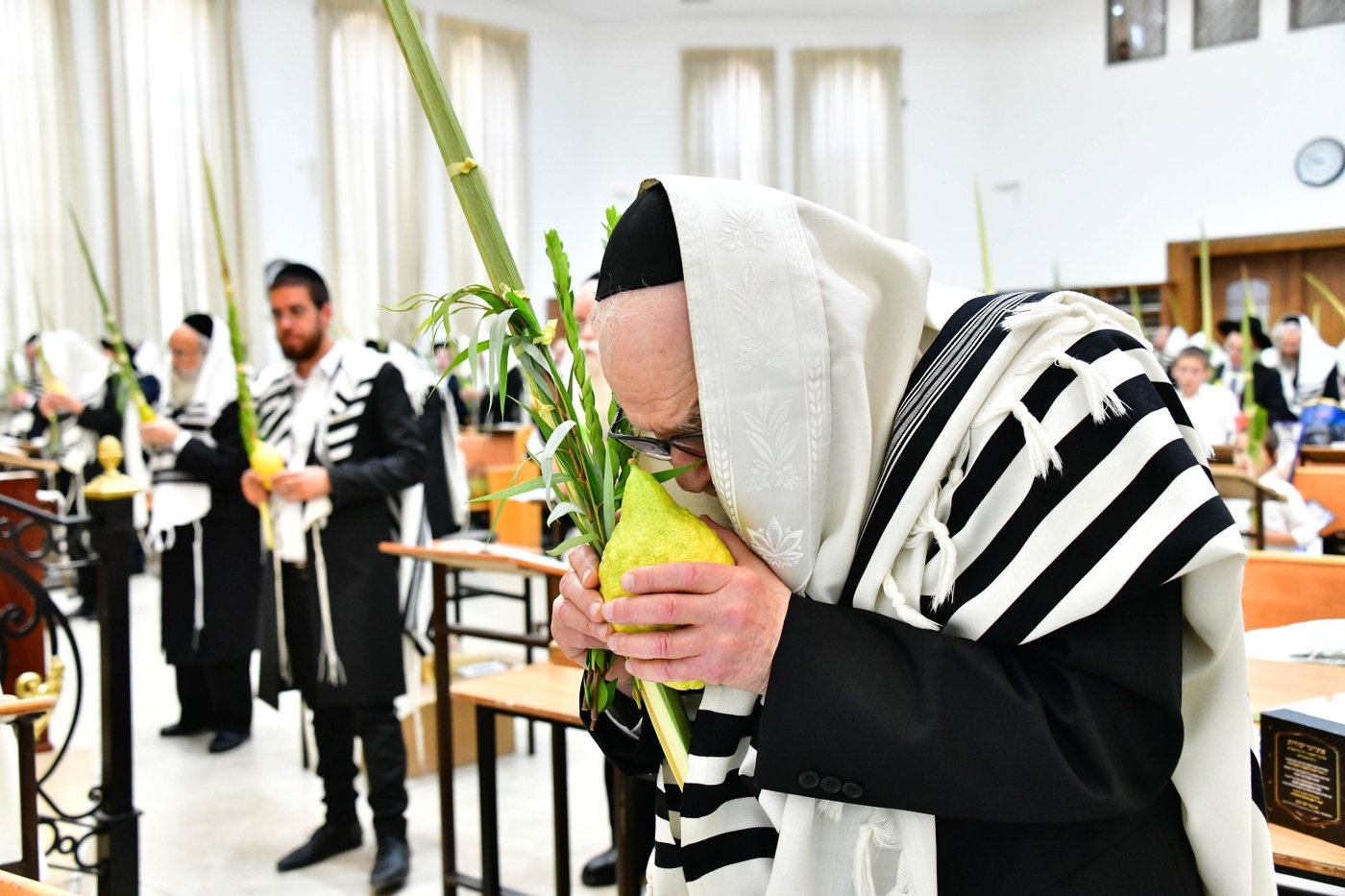 הגר"ד לנדו והגרמ"ה הירש בנטילת לולב