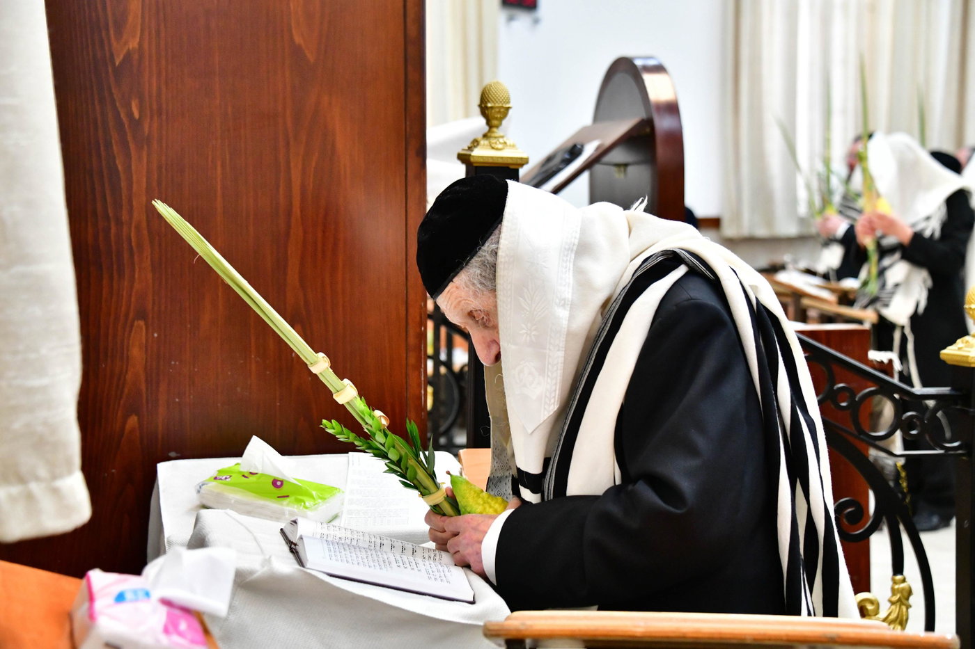 הגר"ד לנדו והגרמ"ה הירש בנטילת לולב