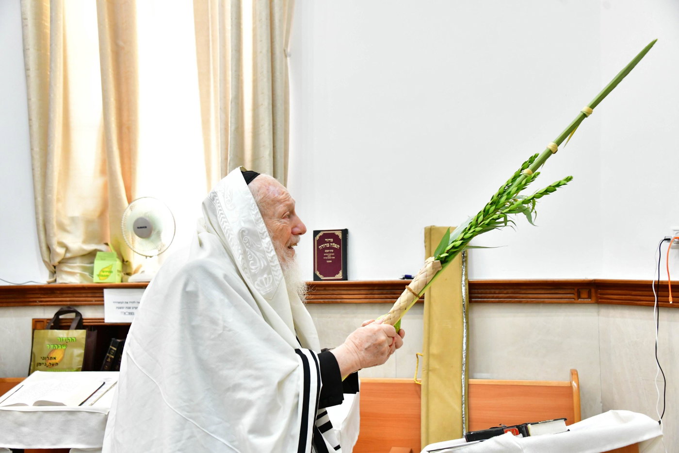 הגר"ד לנדו והגרמ"ה הירש בנטילת לולב