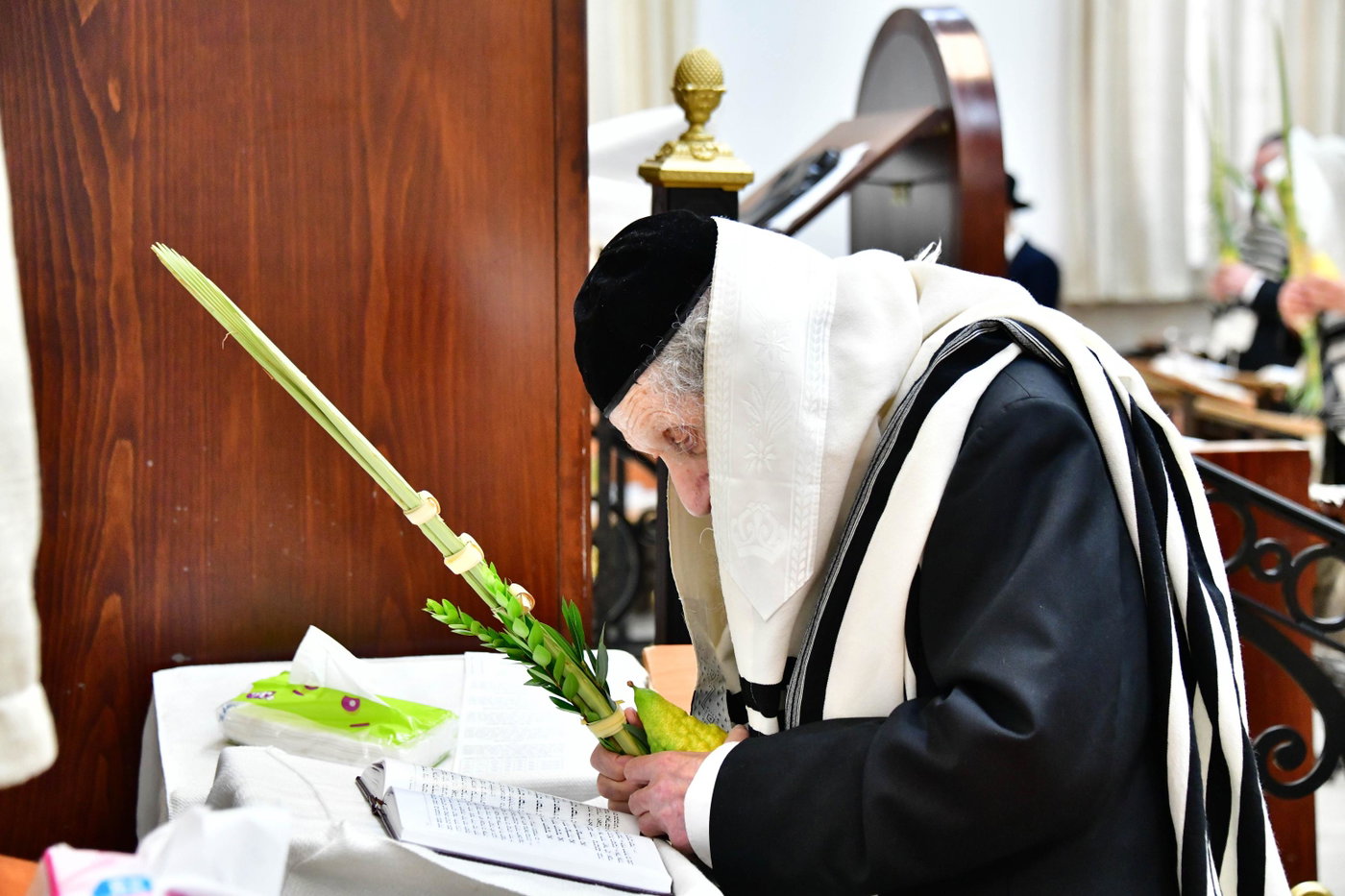 הגר"ד לנדו והגרמ"ה הירש בנטילת לולב