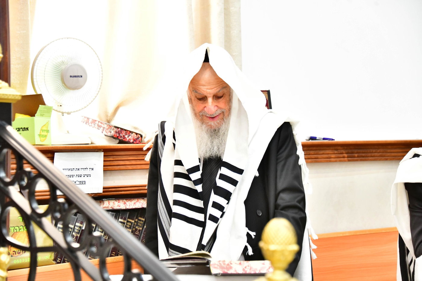 הגר"ד לנדו והגרמ"ה הירש בנטילת לולב