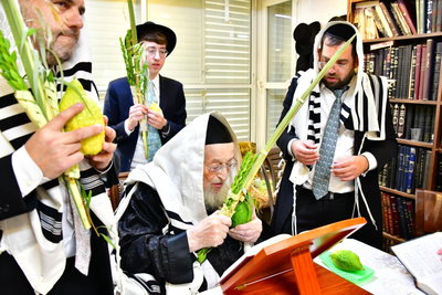 הגרמ"צ ברגמן בנטילת לולב
