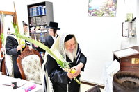 האדמו"ר מנאראל בעבודת הנענועים