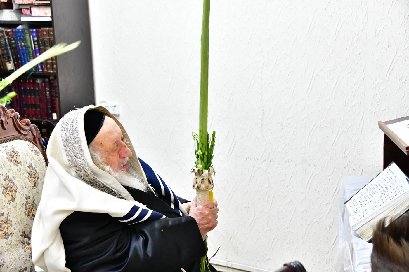 האדמו"ר מנאראל בעבודת הנענועים