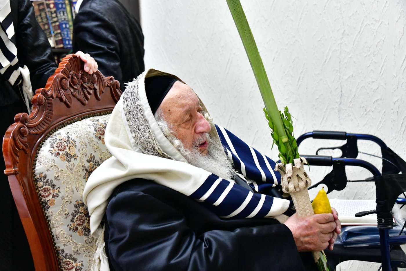 האדמו"ר מנאראל בעבודת הנענועים