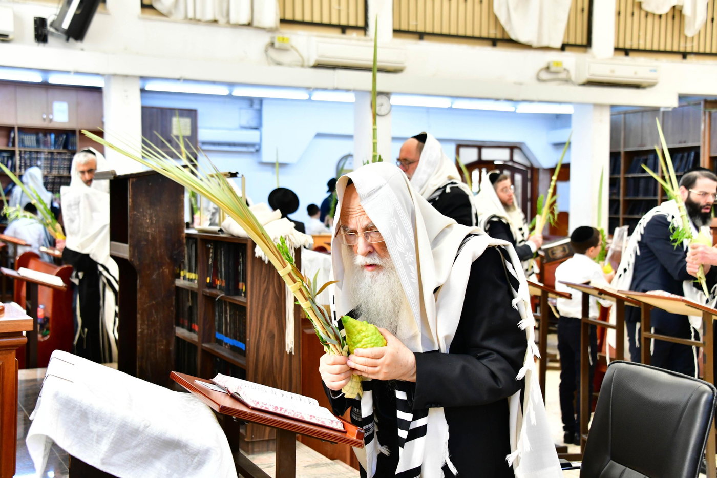הגר"צ רוטברג בנטילת לולב