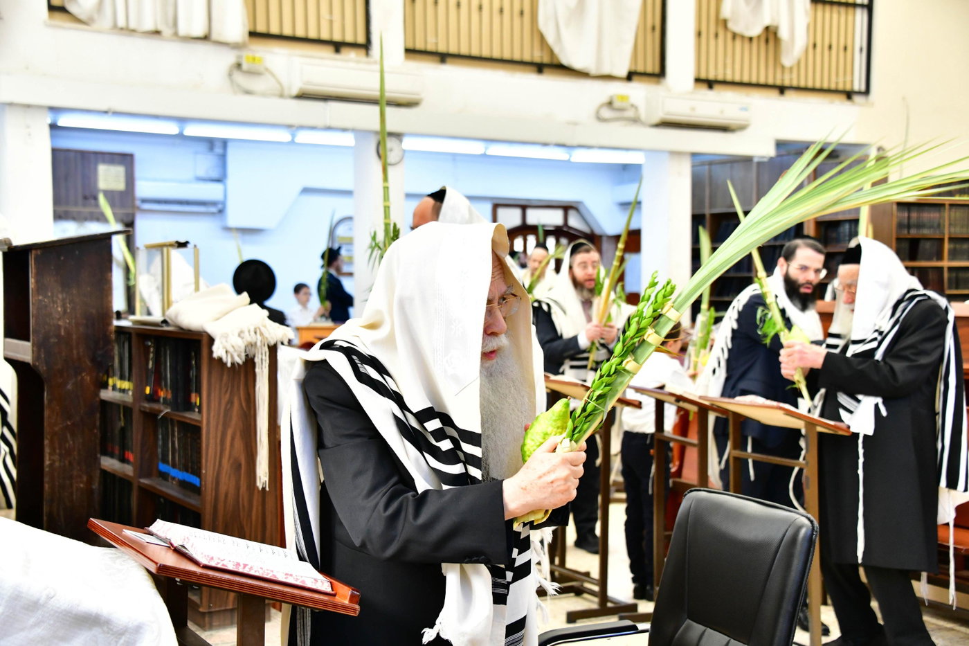 הגר"צ רוטברג בנטילת לולב