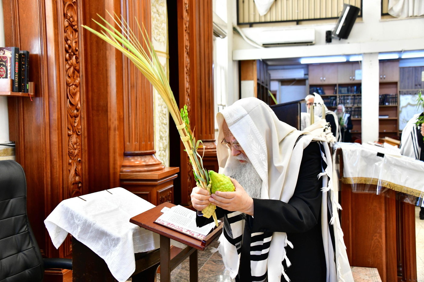 הגר"צ רוטברג בנטילת לולב