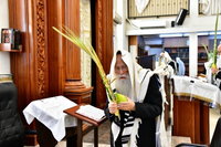 הגר"צ רוטברג בנטילת לולב