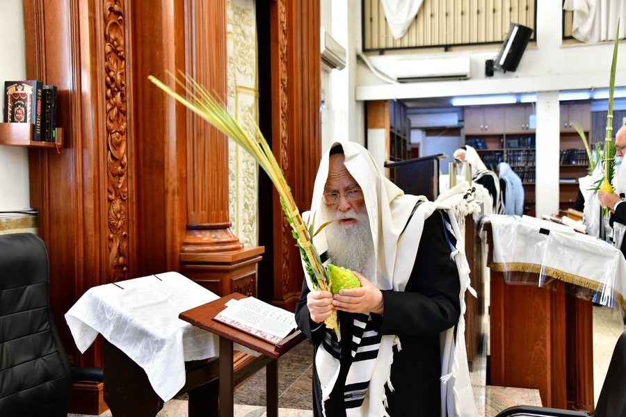הגר"צ רוטברג בנטילת לולב
