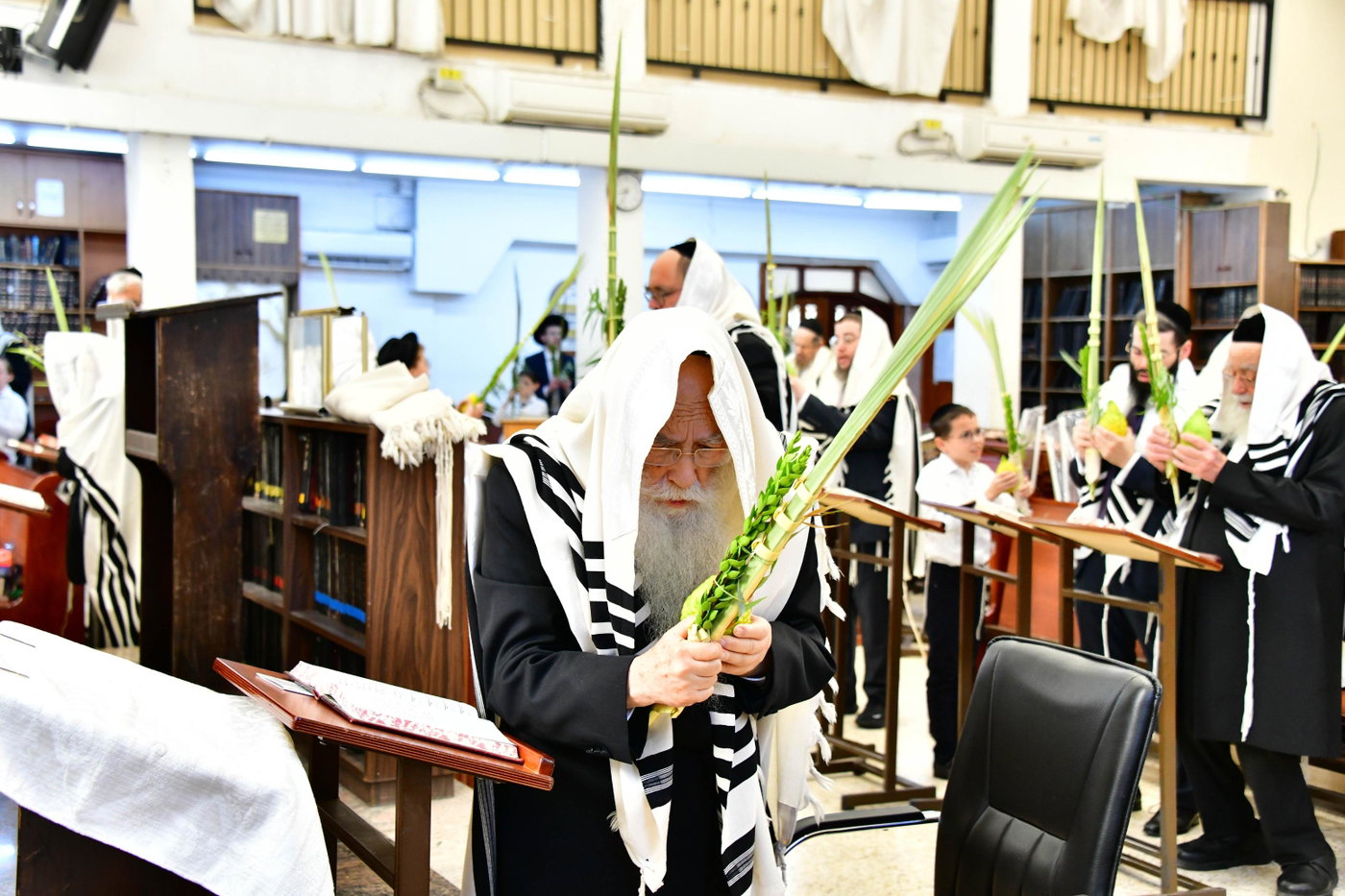 הגר"צ רוטברג בנטילת לולב