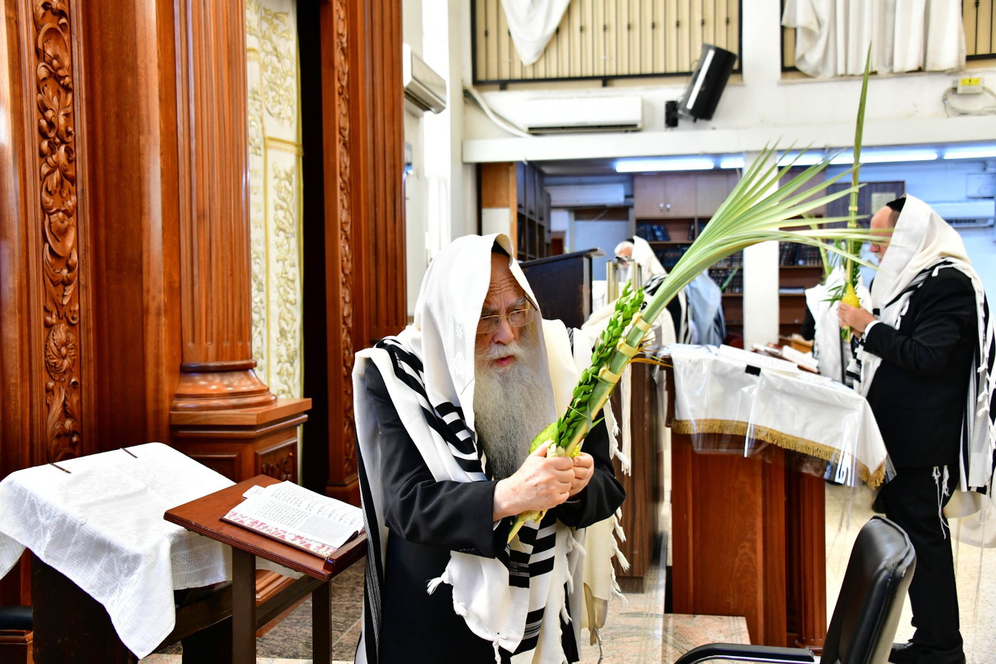 הגר"צ רוטברג בנטילת לולב