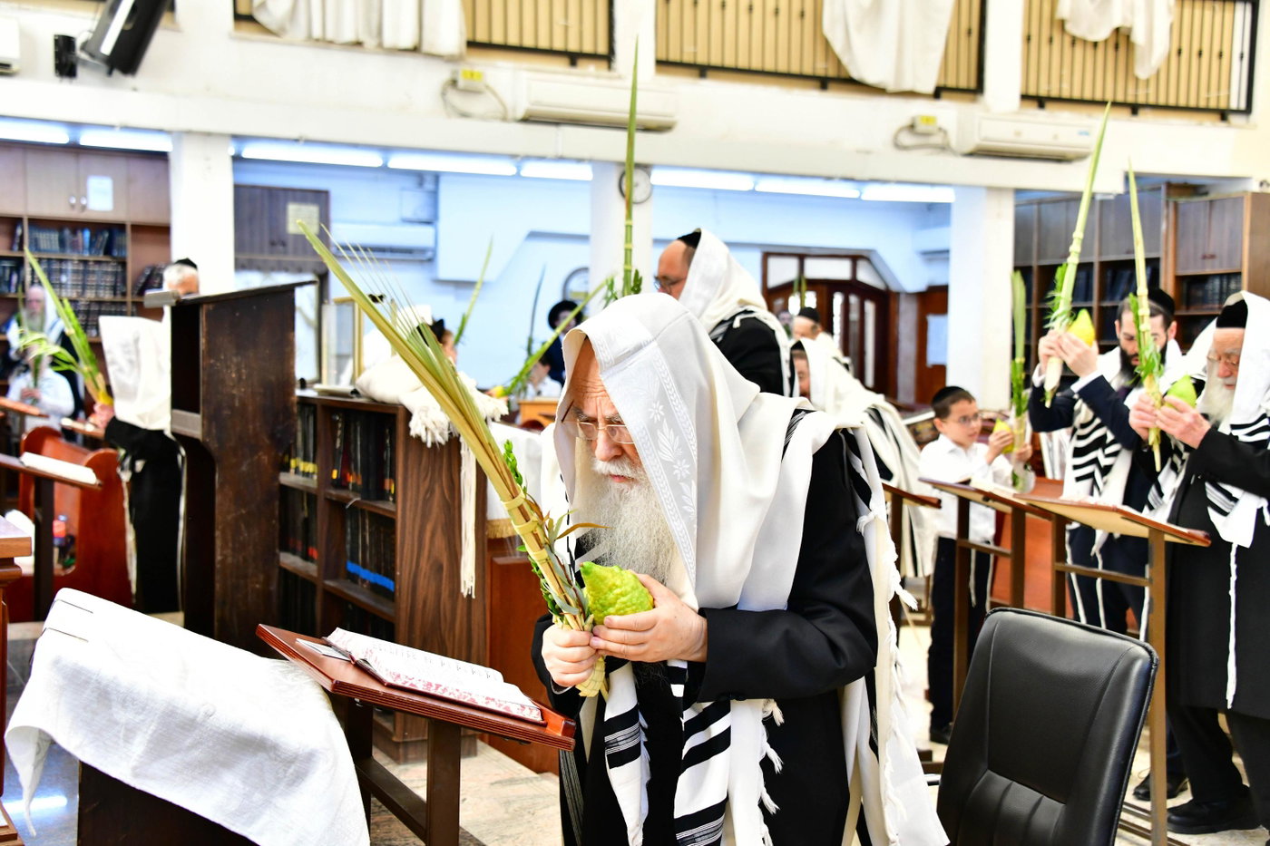 הגר"צ רוטברג בנטילת לולב