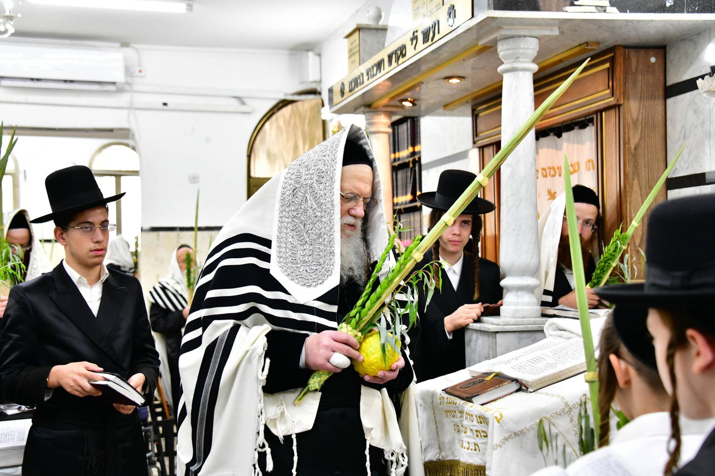 האדמו"ר ממודז'יץ בנטילת לולב 