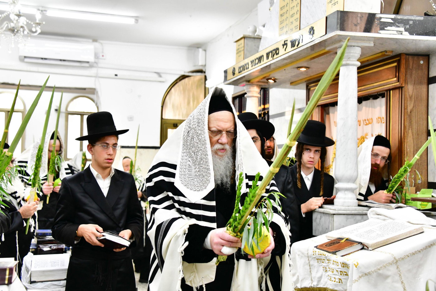 האדמו"ר ממודז'יץ בנטילת לולב 