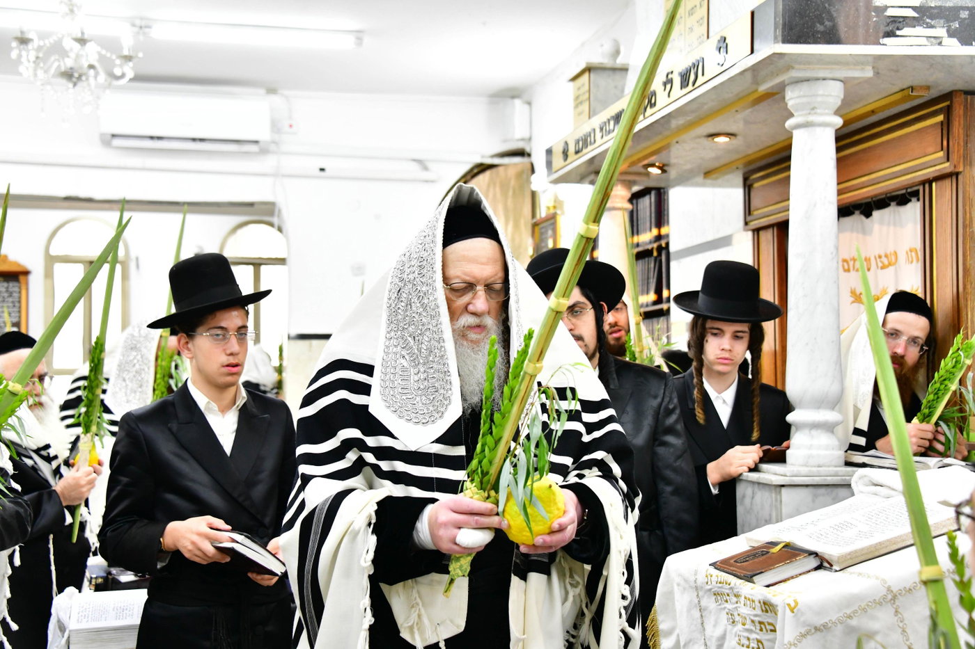האדמו"ר ממודז'יץ בנטילת לולב 