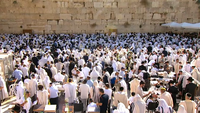 שידור חי: מעמד 'ברכת כהנים' המסורתי בכותל המערבי | צפו