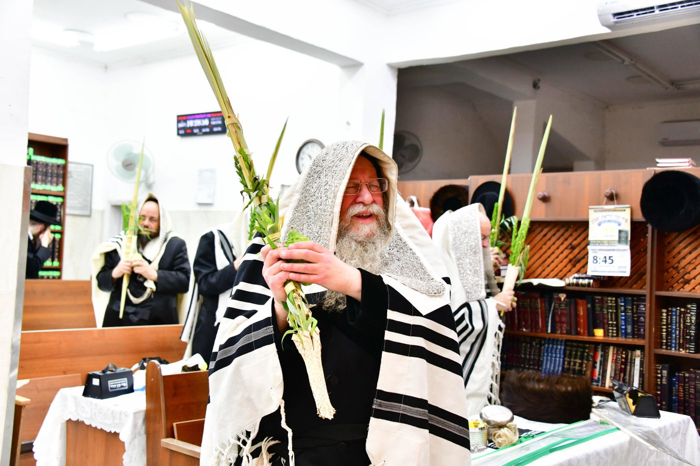 האדמו"ר מקוזמיר בנטילת ארבעת המינים