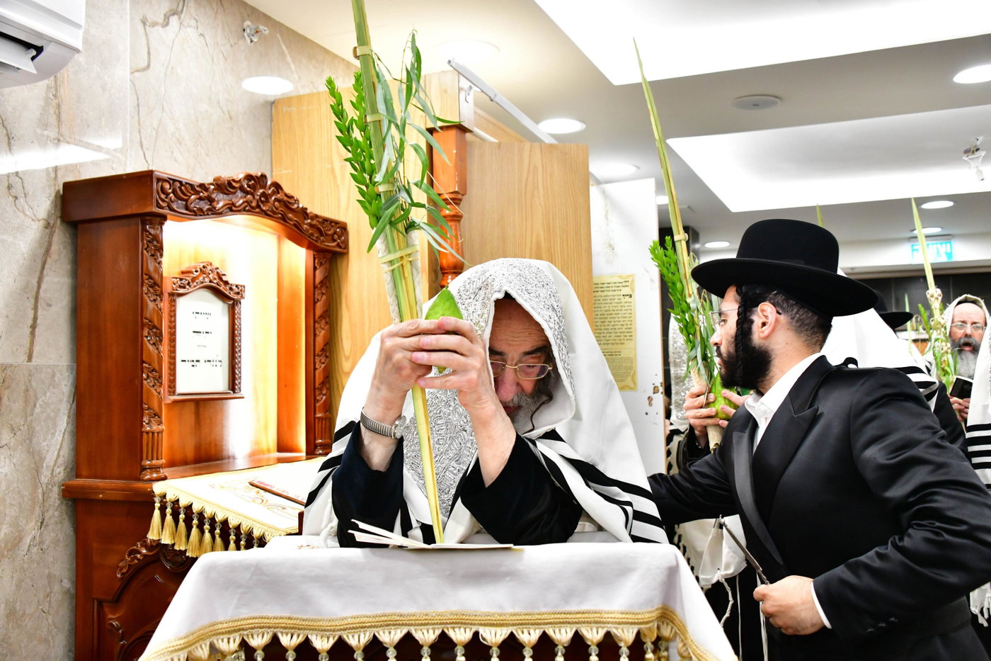 האדמו"ר מאלכסנדר בנטילת ארבעת המינים 