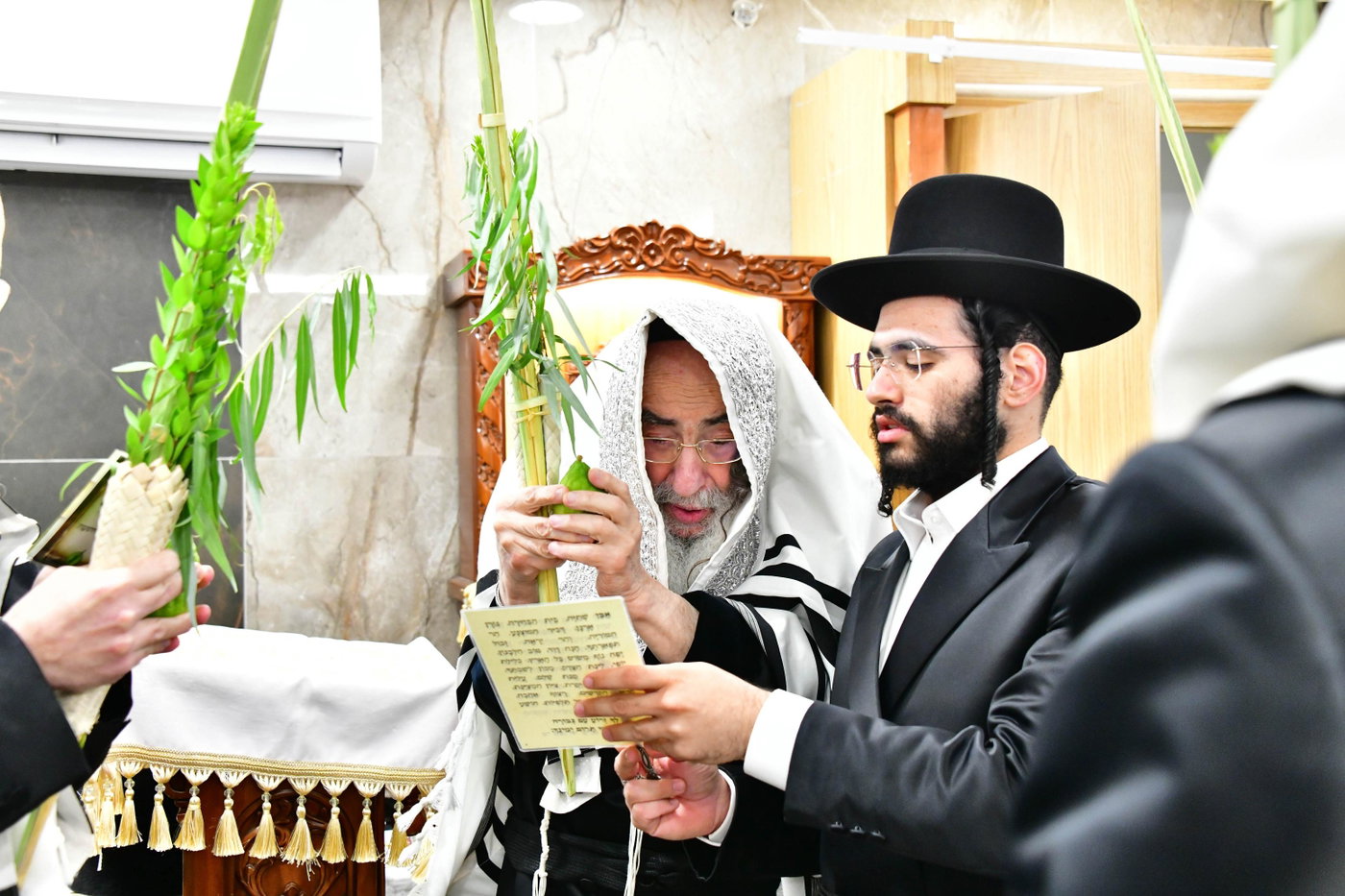 האדמו"ר מאלכסנדר בנטילת ארבעת המינים 