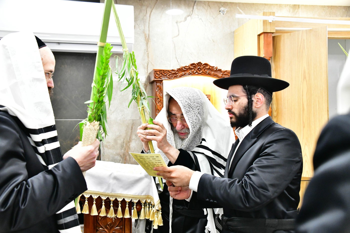 האדמו"ר מאלכסנדר בנטילת ארבעת המינים 