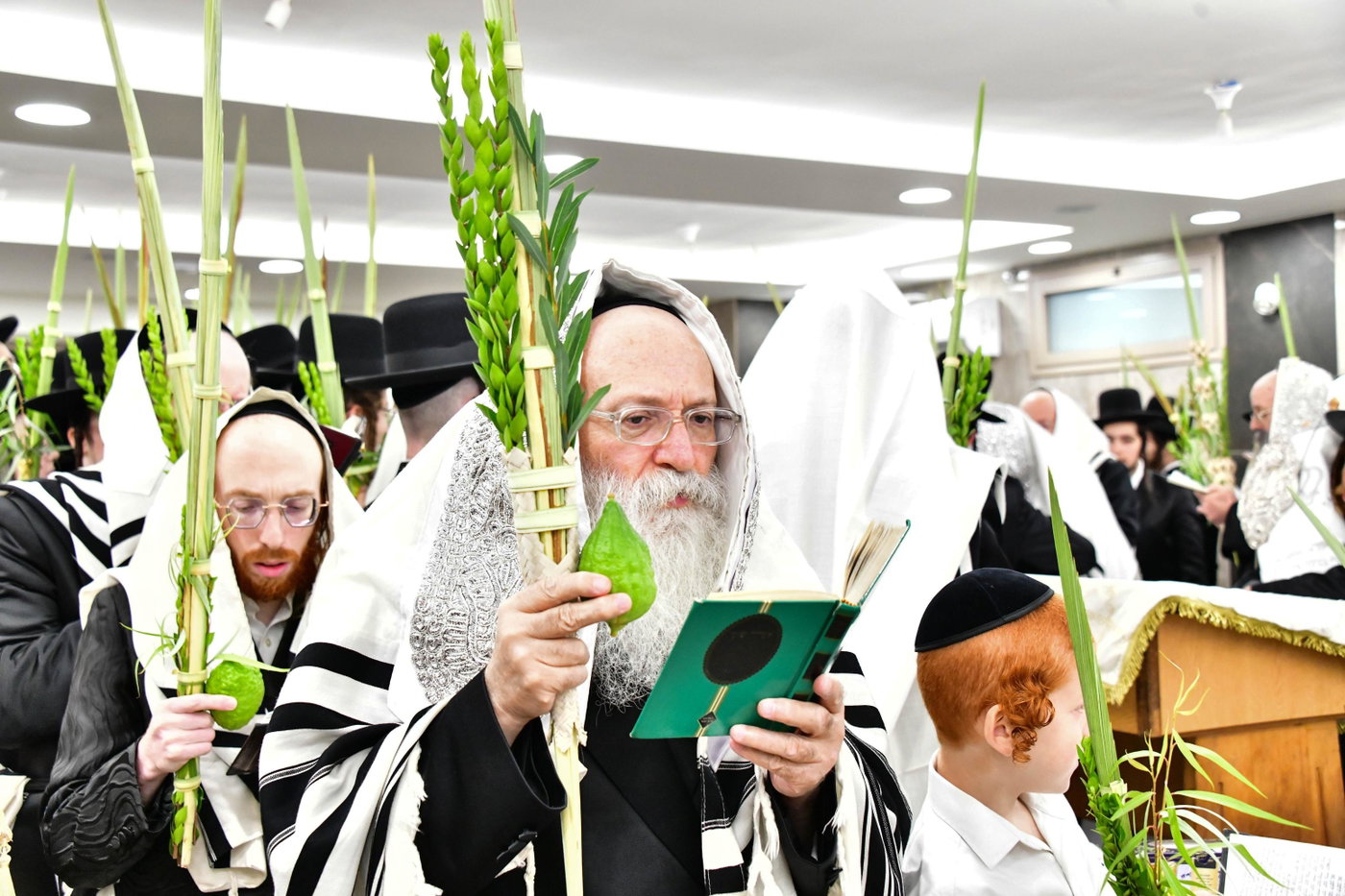 הגה"צ רבי אהרן טוסיג בנטילת ארבעת המינים 