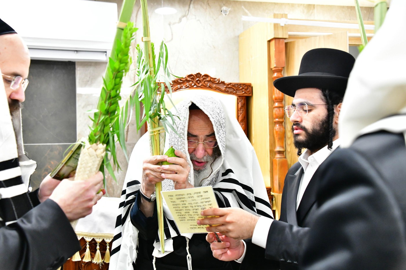האדמו"ר מאלכסנדר בנטילת ארבעת המינים 