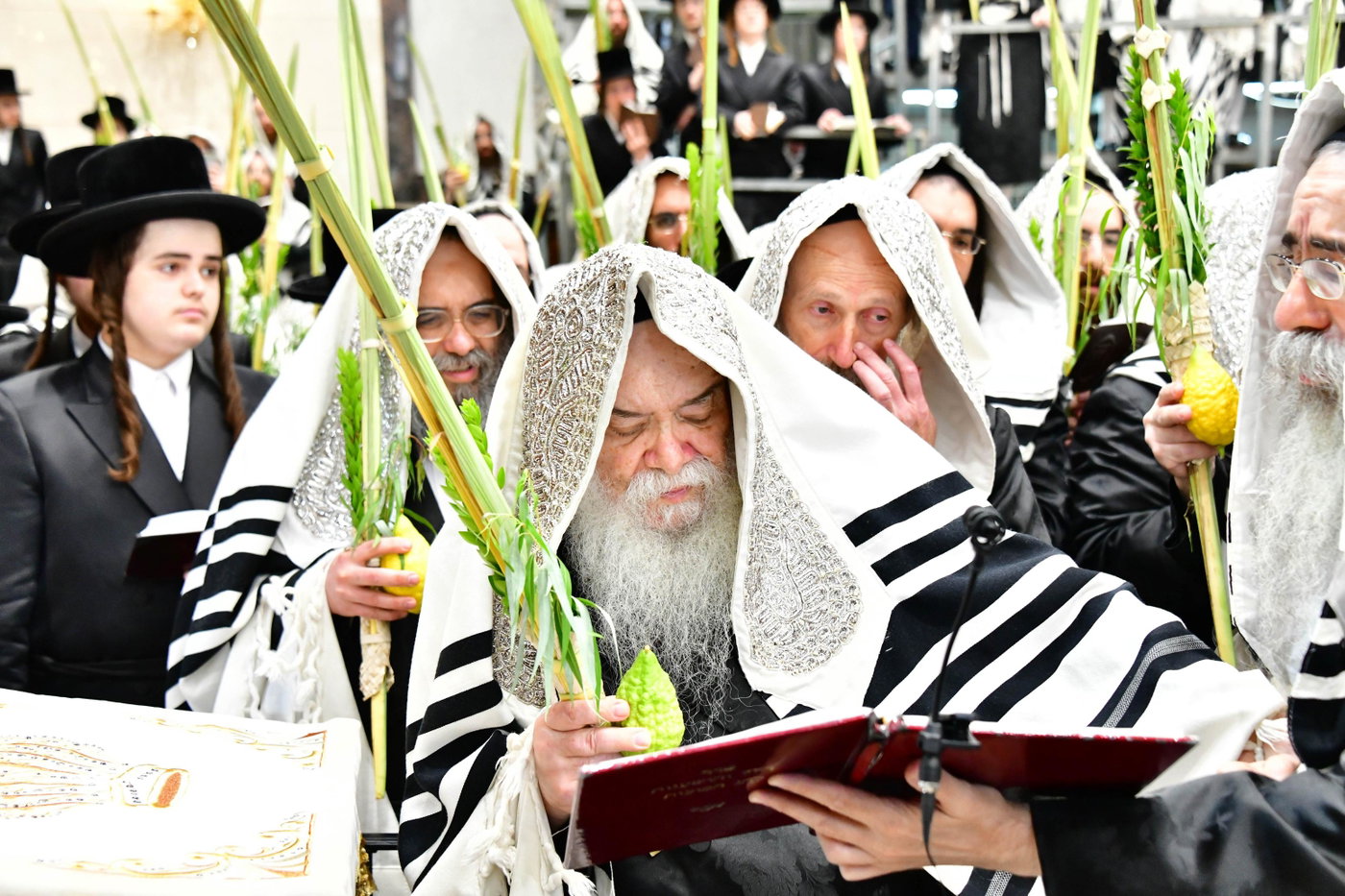 האדמו"ר מדארג בנענועים