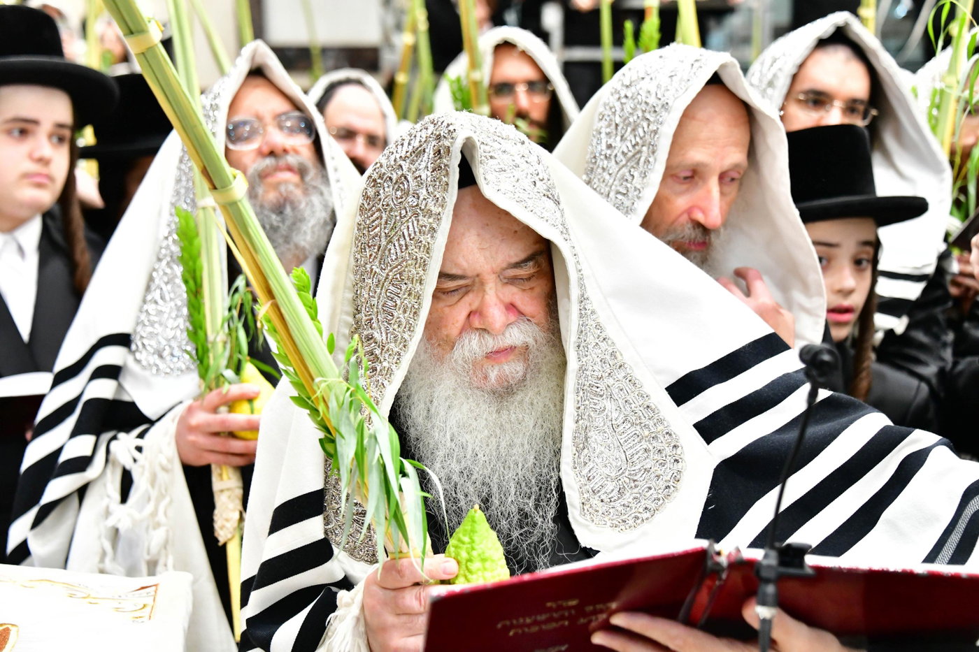 האדמו"ר מדארג בנענועים