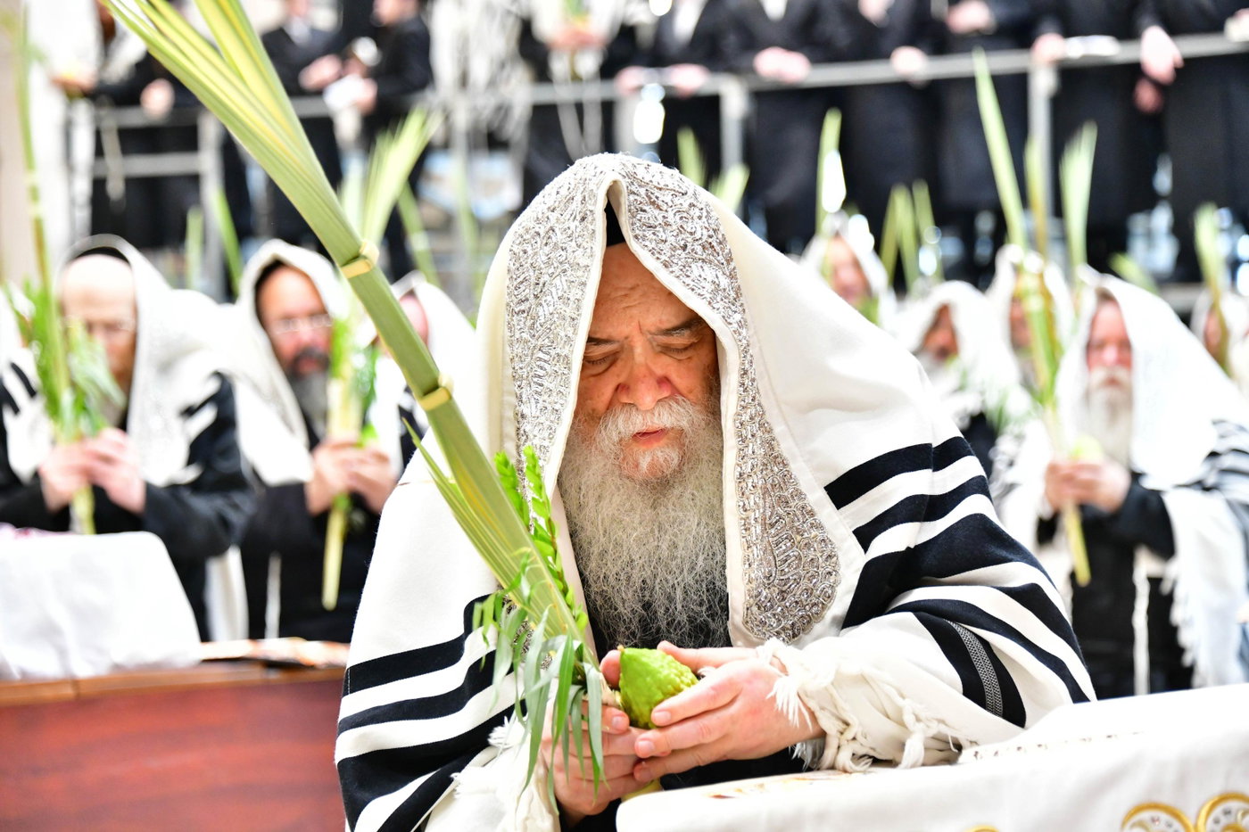 האדמו"ר מדארג בנענועים