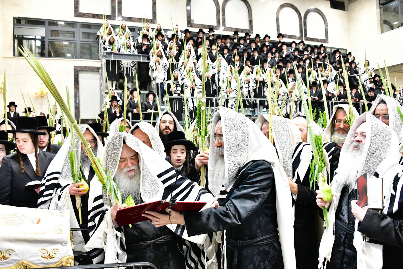 האדמו"ר מדארג בנענועים