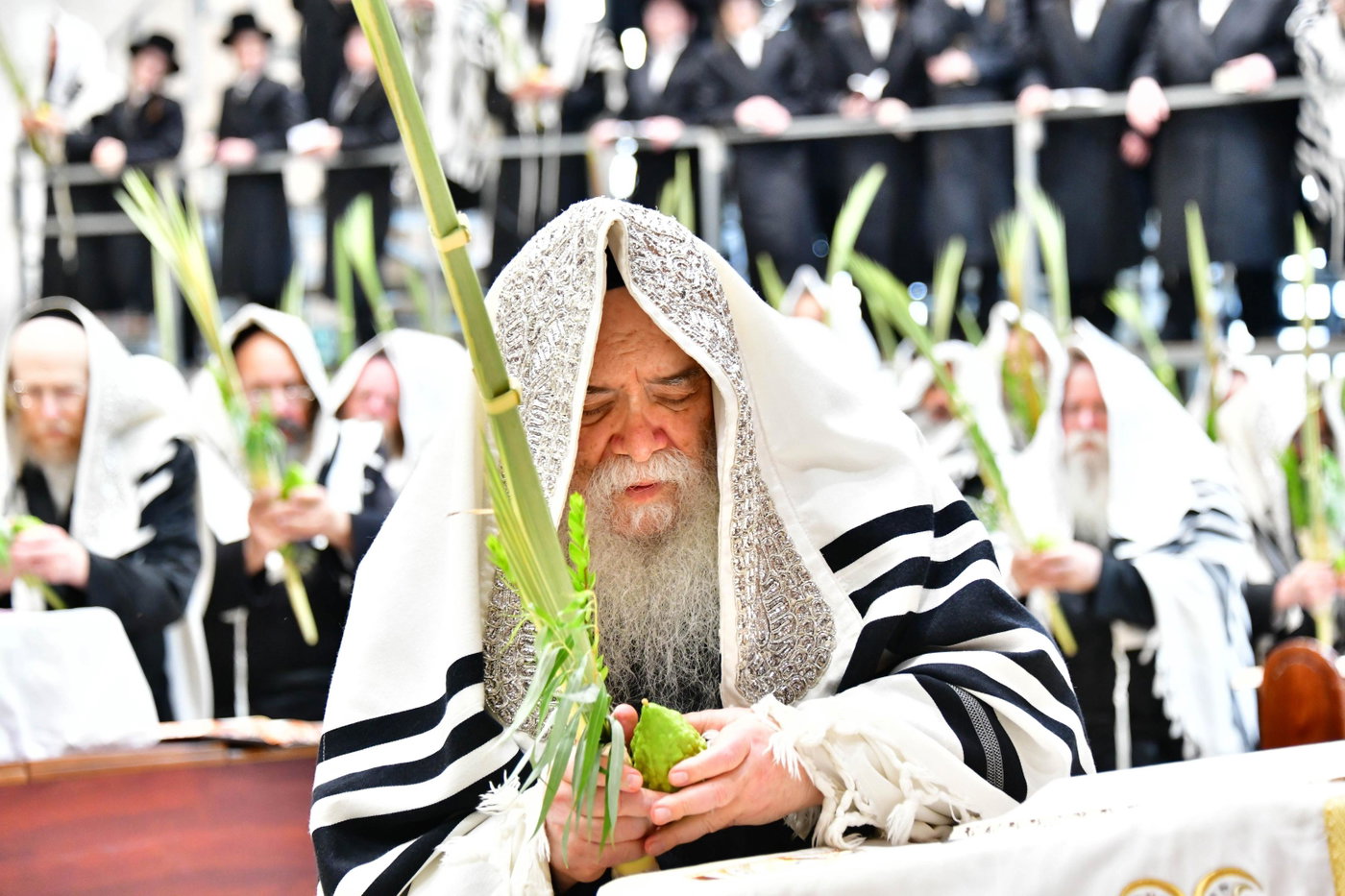 האדמו"ר מדארג בנענועים