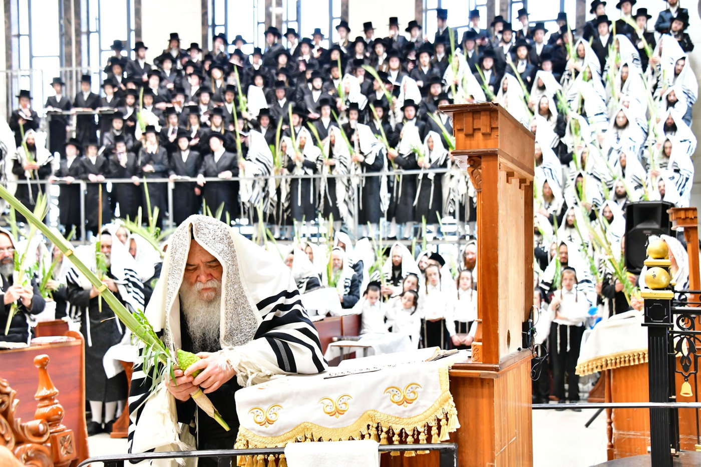 האדמו"ר מדארג בנענועים