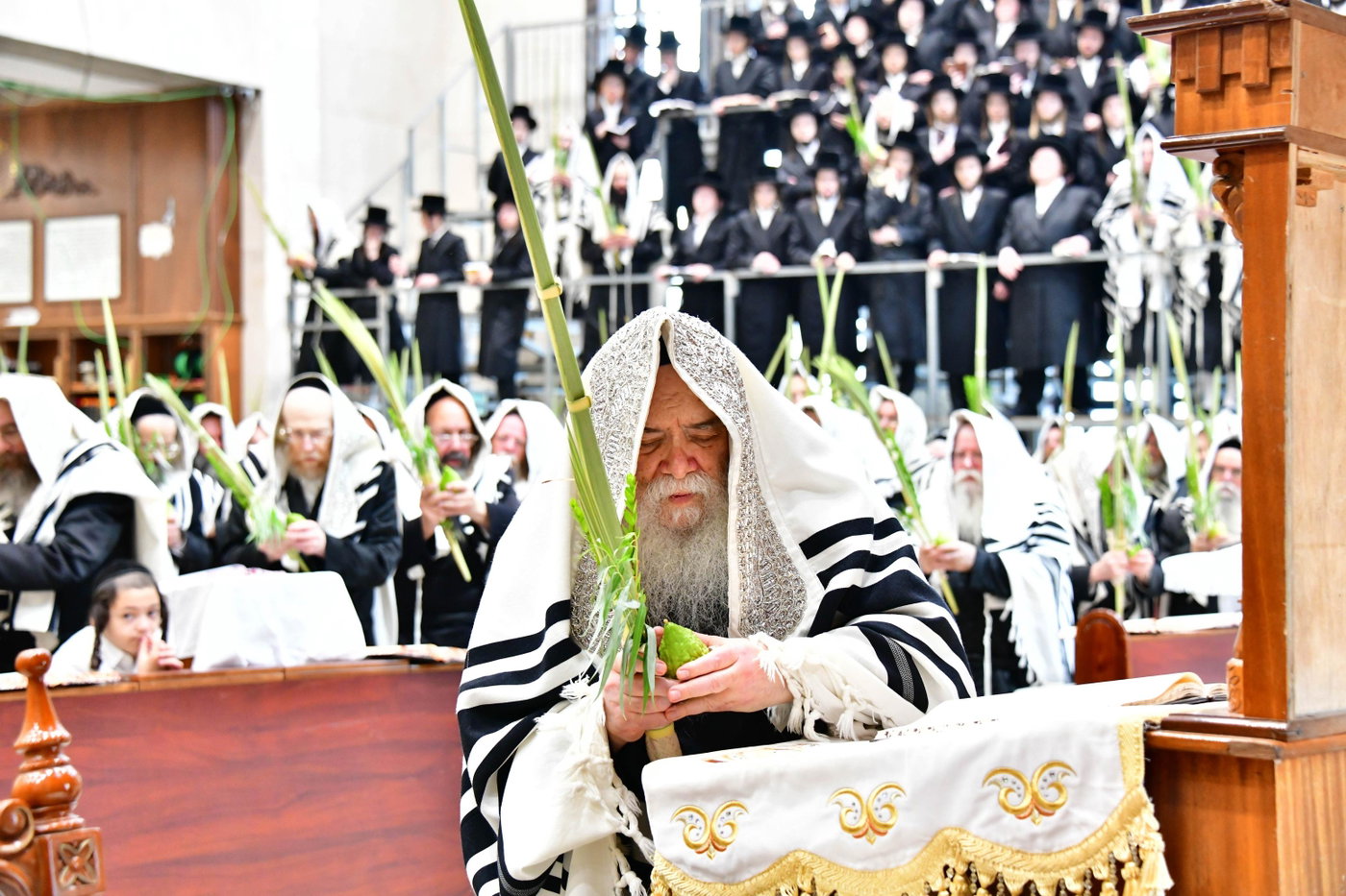 האדמו"ר מדארג בנענועים