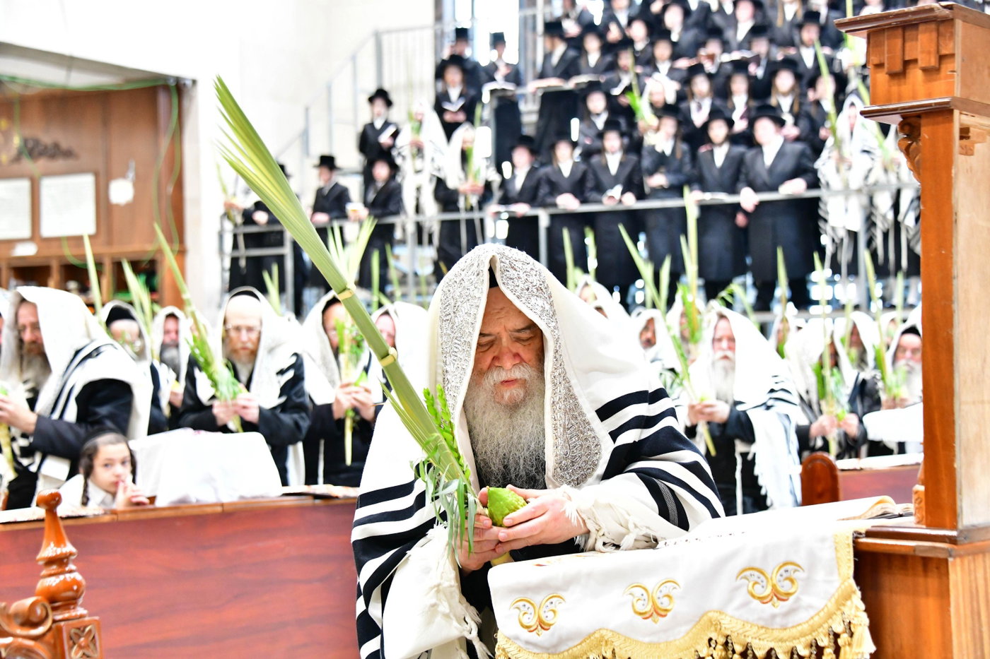 האדמו"ר מדארג בנענועים