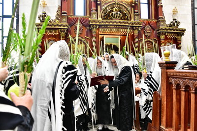האדמו"ר מדארג בנענועים