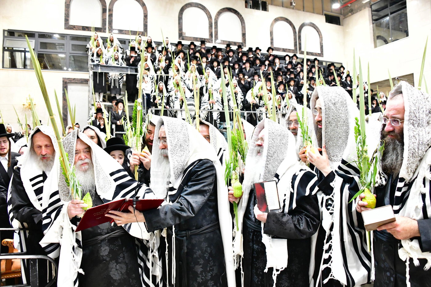 האדמו"ר מדארג בנענועים