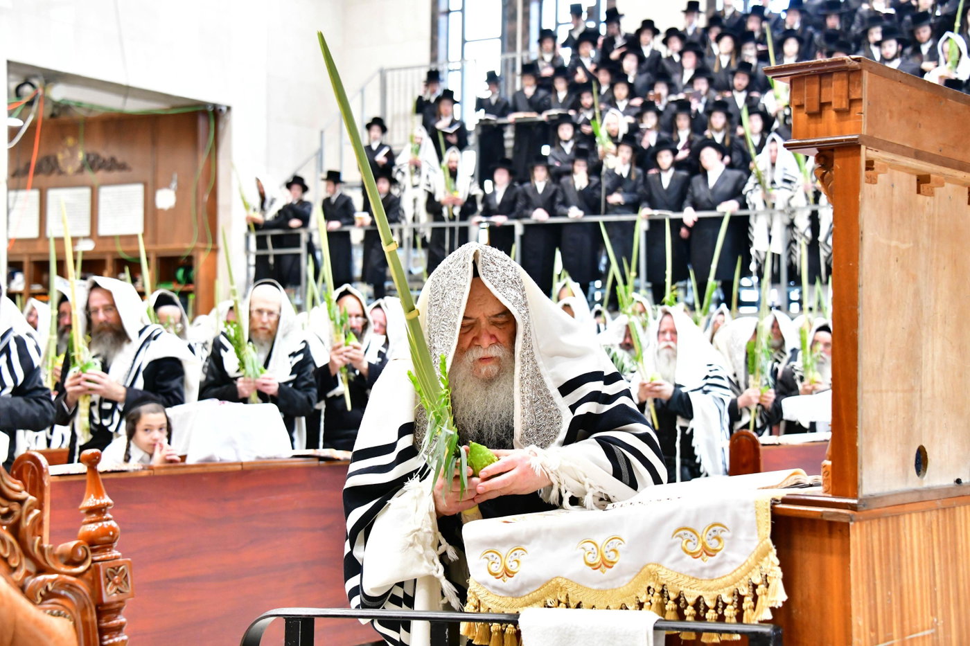 האדמו"ר מדארג בנענועים