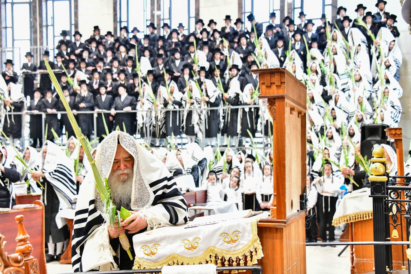 האדמו"ר מדארג בנענועים