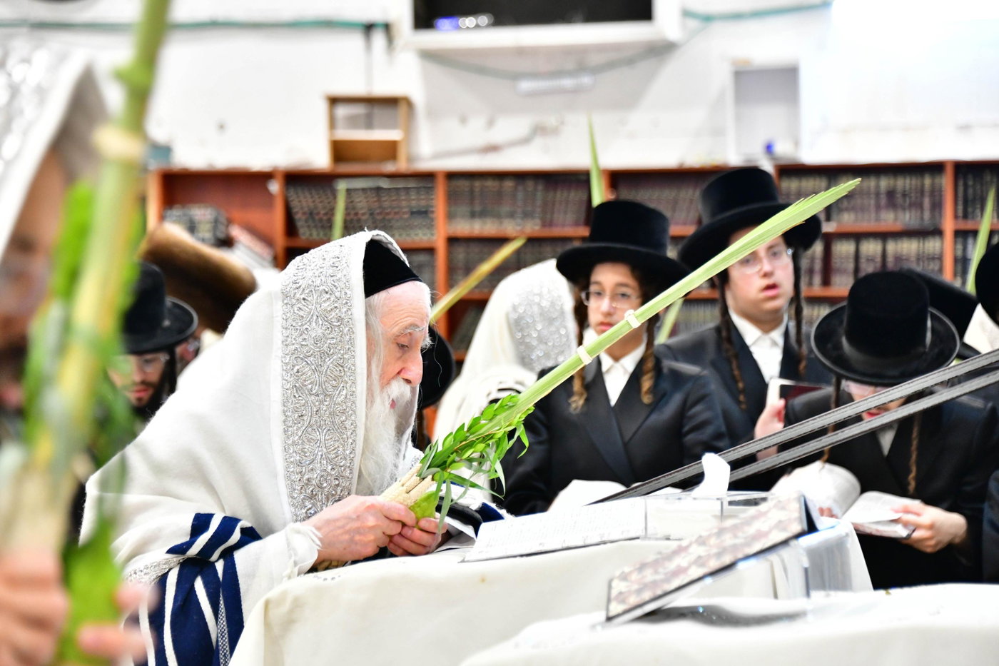 האדמו"ר ממחנובקה בעלזא בנטילת לולב