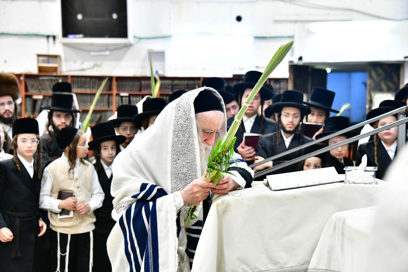 האדמו"ר ממחנובקה בעלזא בנטילת לולב