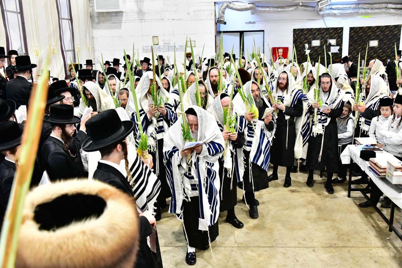 האדמו"ר ממחנובקה בעלזא בנטילת לולב