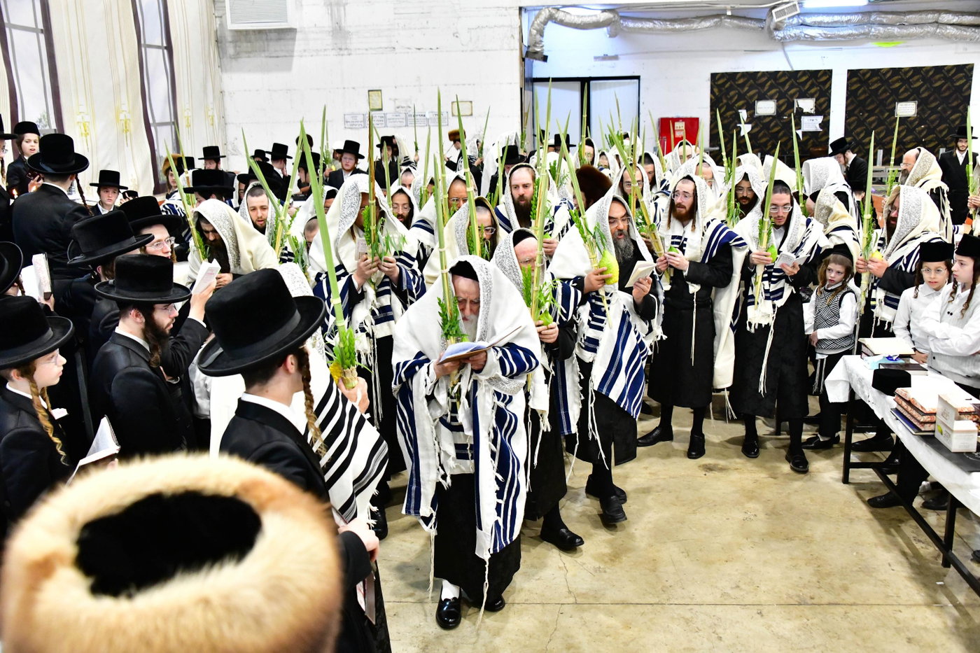 האדמו"ר ממחנובקה בעלזא בנטילת לולב