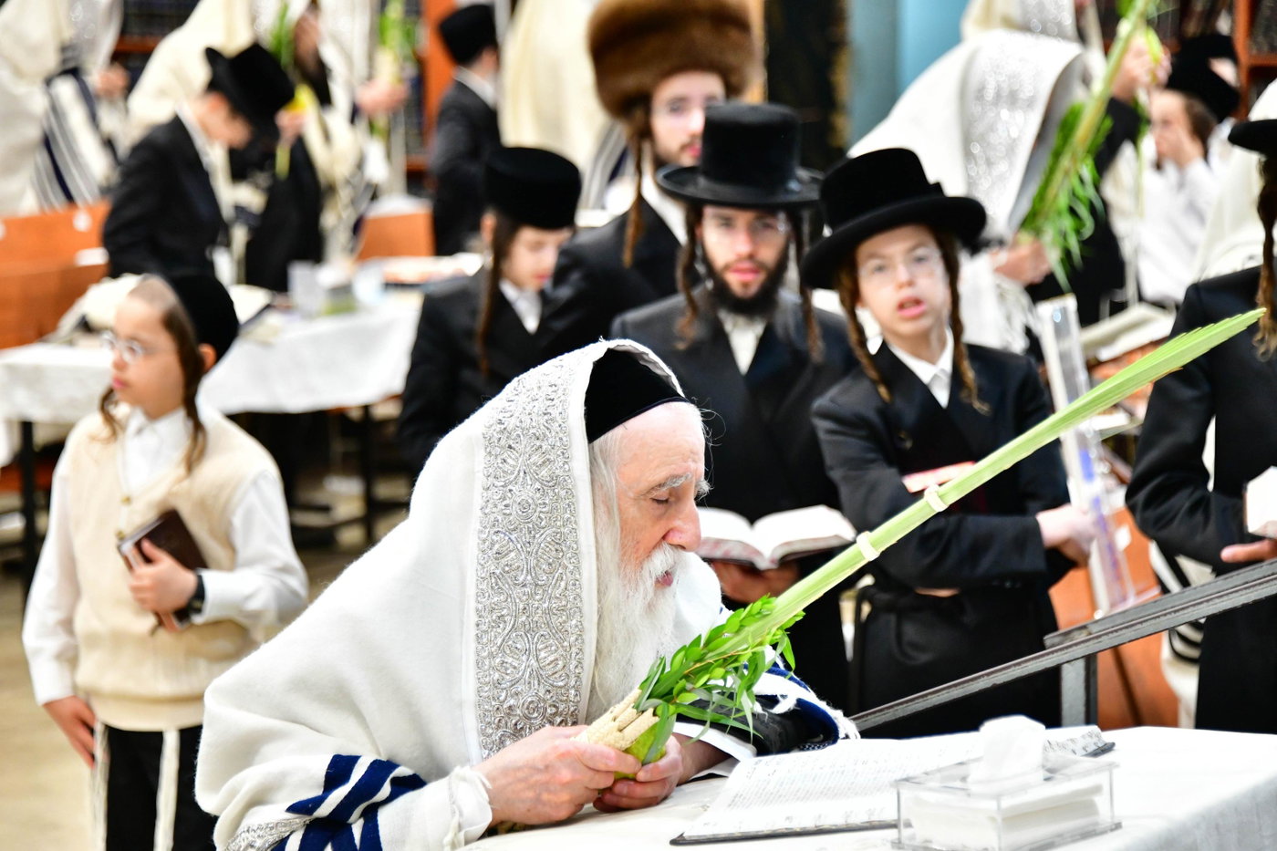 האדמו"ר ממחנובקה בעלזא בנטילת לולב