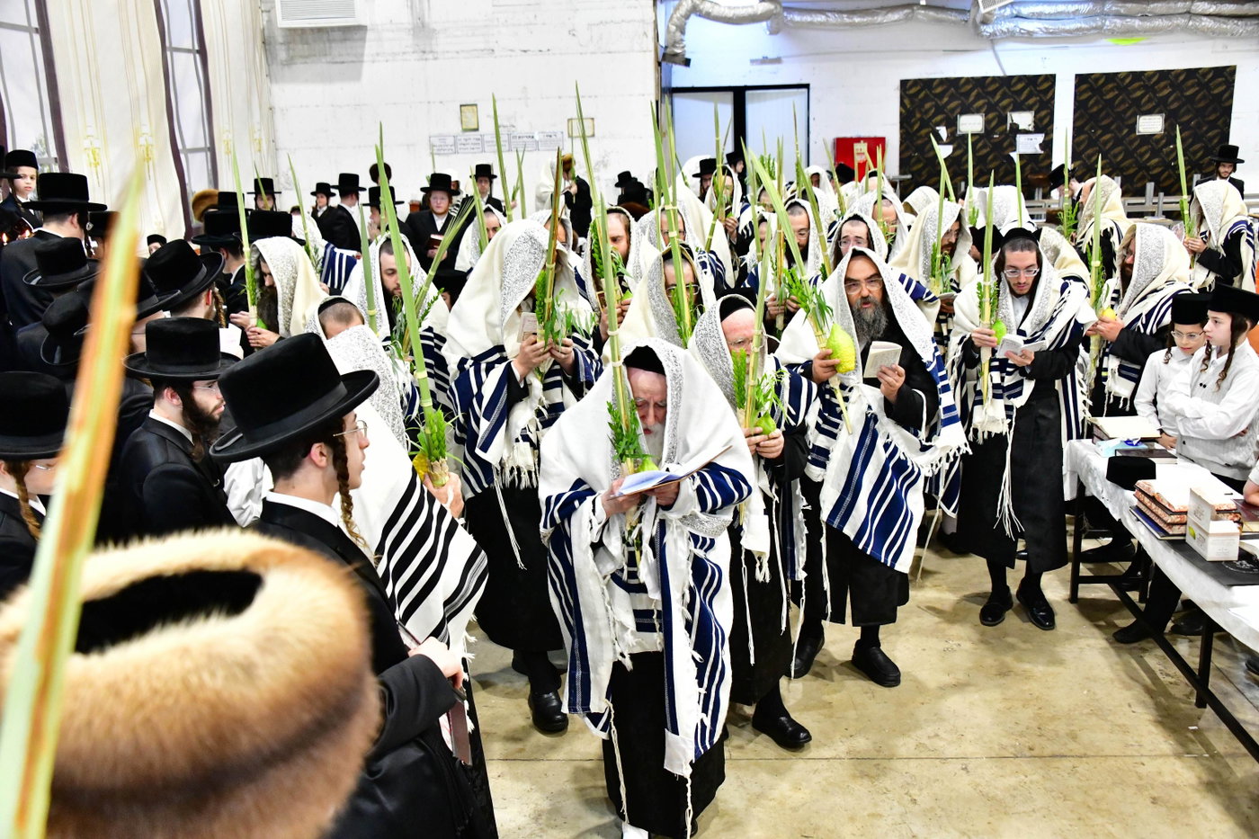 האדמו"ר ממחנובקה בעלזא בנטילת לולב