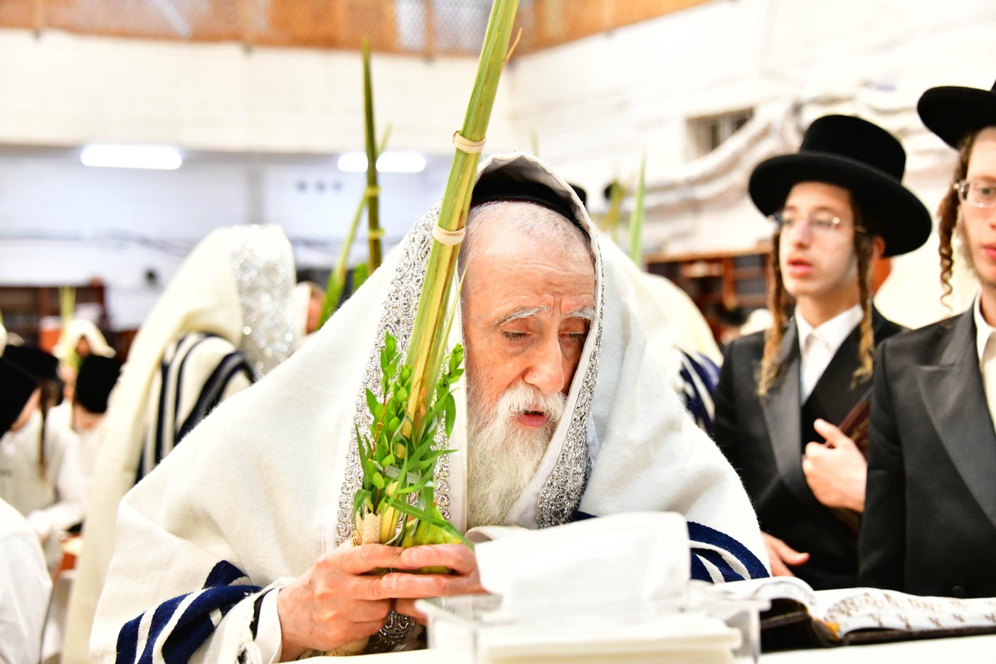 האדמו"ר ממחנובקה בעלזא בנטילת לולב